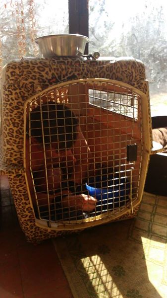 Soumis cherche sa Domina