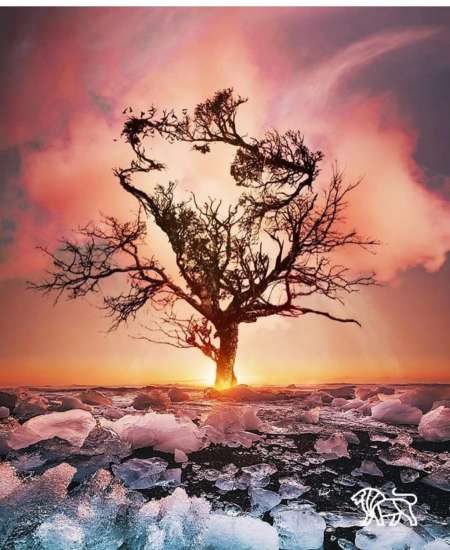 homme cherche femme tout �g�es