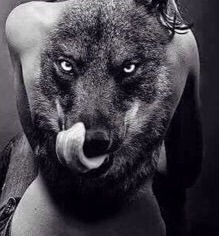 Recherche Femme adepte de la sodomie 