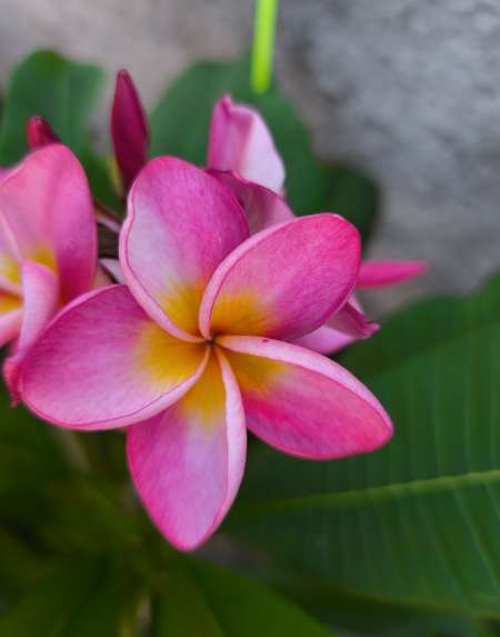 Massage energetique sensuel