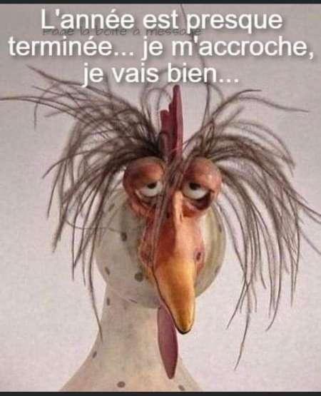  lope male ch gang bang