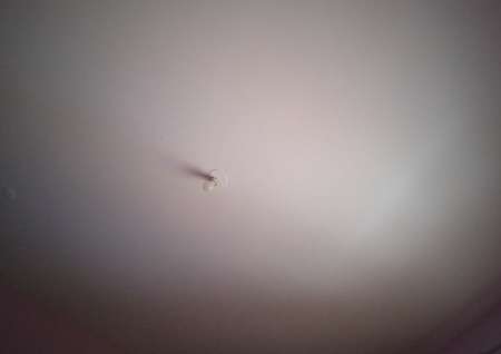 Envie de te faire du bien