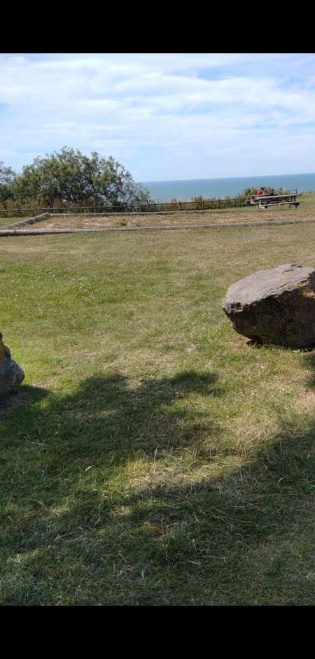 500 roses pour une nuit avec vous