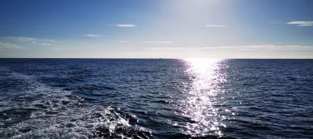 premi�re exp�rience