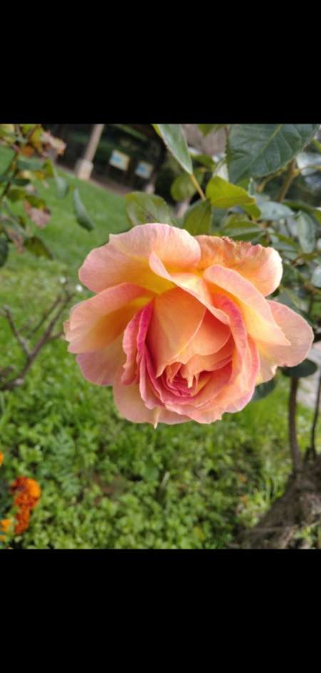 Je cherche jolie black fine cool pour moments symp