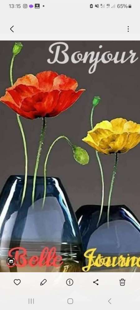  Pour Femme � gros clitoris ou poilue