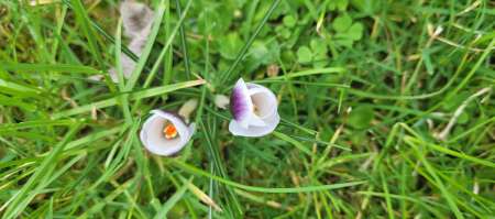 Jeune Quinqua coquin pour quinqua coquine