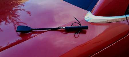  MAITRE CHERCHE SA soumise