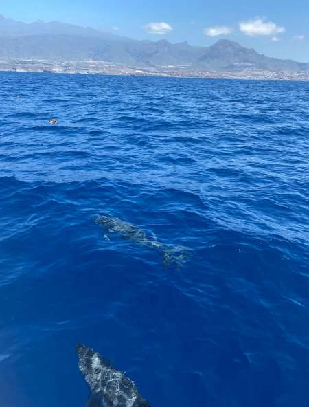 Homme black sportif pour massage et autre