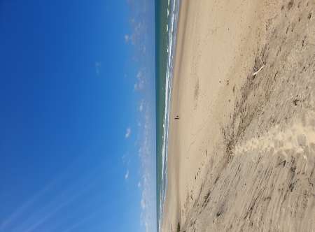 Une jeune femme pour sorties?