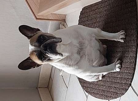 H cherche femme pour different service