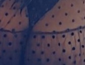 Massage naturistes h�t�ros