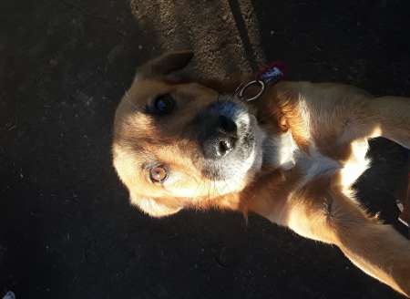 Massage gratuit pour femme