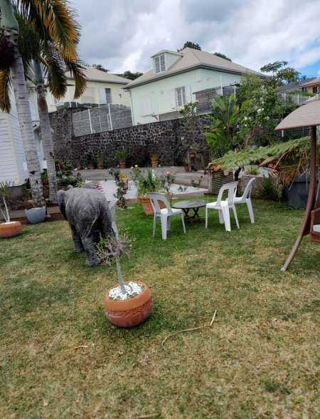 Propose studio en journ�e � femme contre sexe