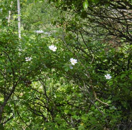 recherche jeune femme