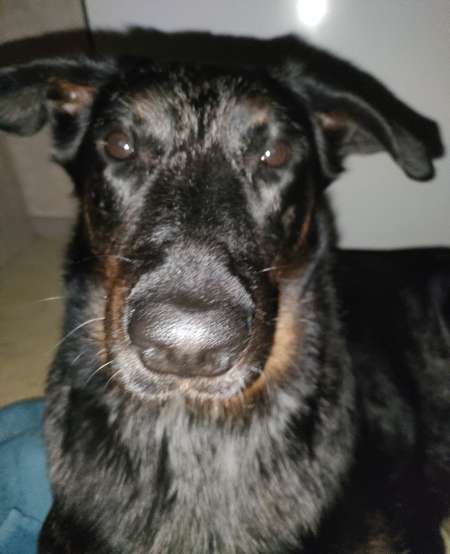 Jeune de 18 ans cherche femme de 30-55 ans