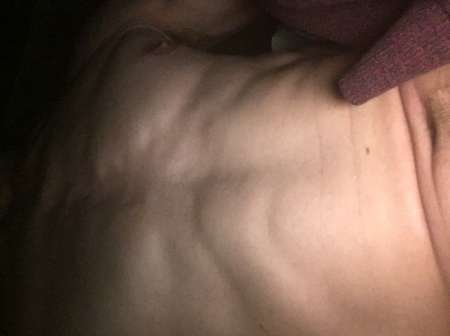 Pourquoi pas essay�