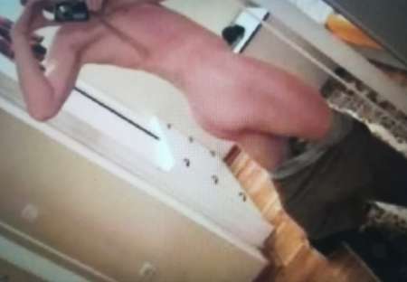 blanc passif et Soumis RECH Blacks tr�s muscl�s