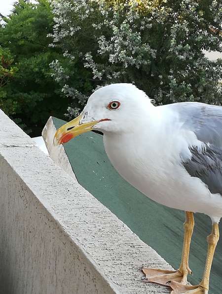 Recherche femme pour complicit�.