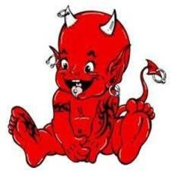  matou pour petite chatte