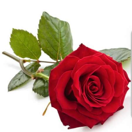 RENCONTRE UNIQUE SOIREE D�TENTE