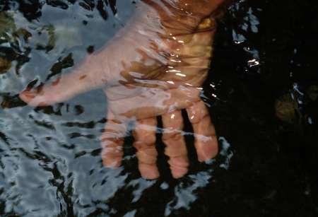  Massage SENSuel ....CORPS � CORPS,COEURS � COEURS