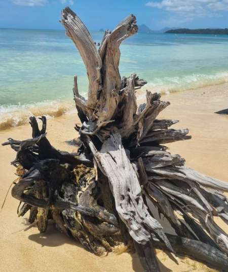 Rencontre �ph�m�re pour femme ou couple