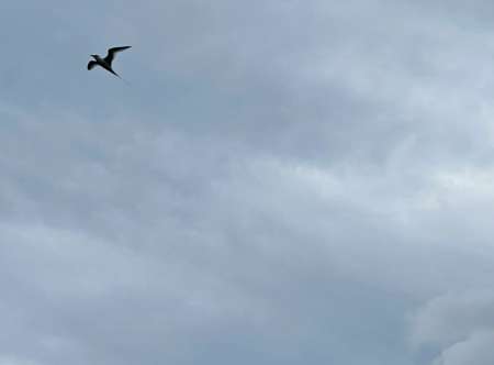 Homme cherche femme discr�te