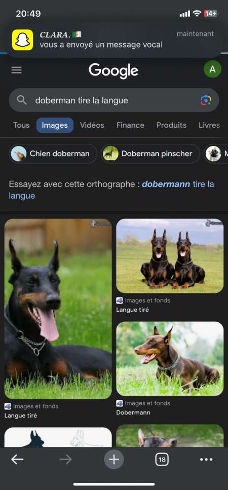 Cherche maîtresse pour lui obéir