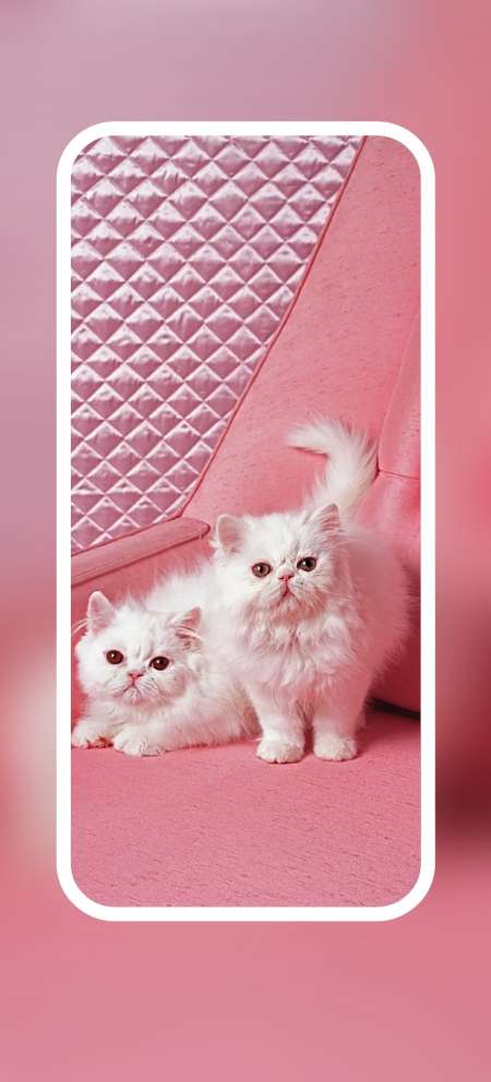 Recherche femme mari�