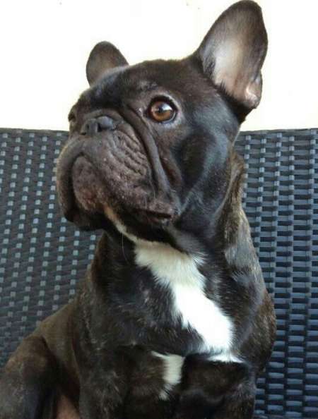 recherche belles jambes beaux pieds à savourer