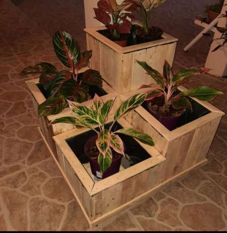 Recherche que du plaisir