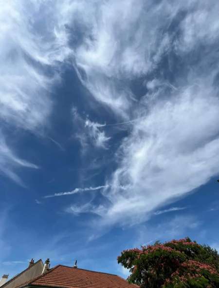  Hommes cherche transexuel ou travesti actifs