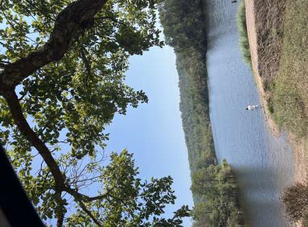 Cherche cougar mini 40ans