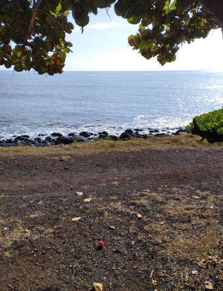 Avis des autre pour trouver une escorte agr�able