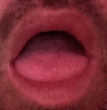  Jh bi cherche � sucer bi avec from