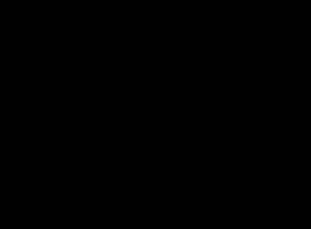 Femme qui adore le sex