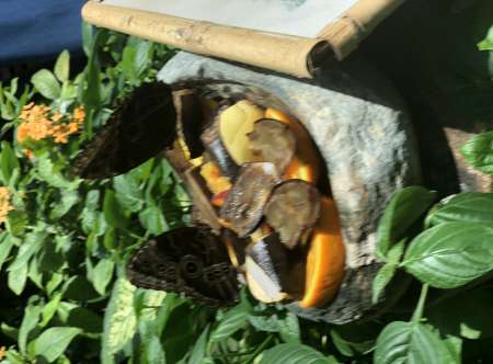 Homme, cherche femme pour passer des moments agréa