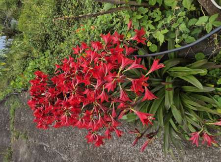 Recherche une copine dans le sud