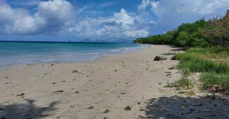 Mari cherche �vasion