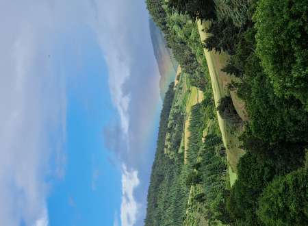 Cherche femme voluptueuse à très forte poitrine