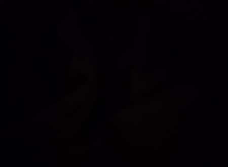 MoneyMiss cherche le parfait moneyslave