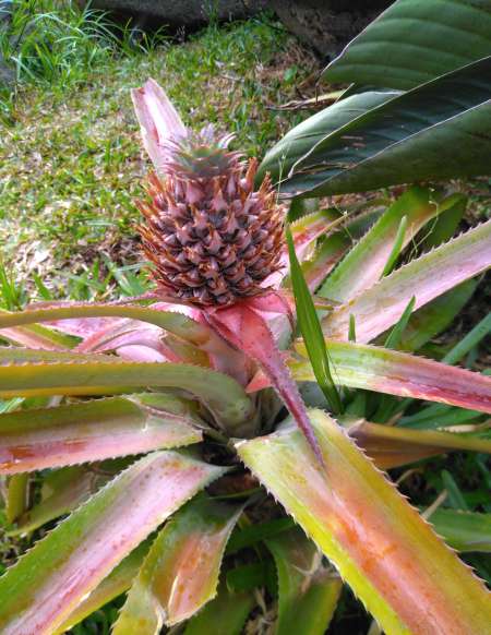 Red�couvrir les plaisirs physiques