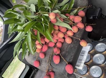 Recherche femme pour pass� un bon moment