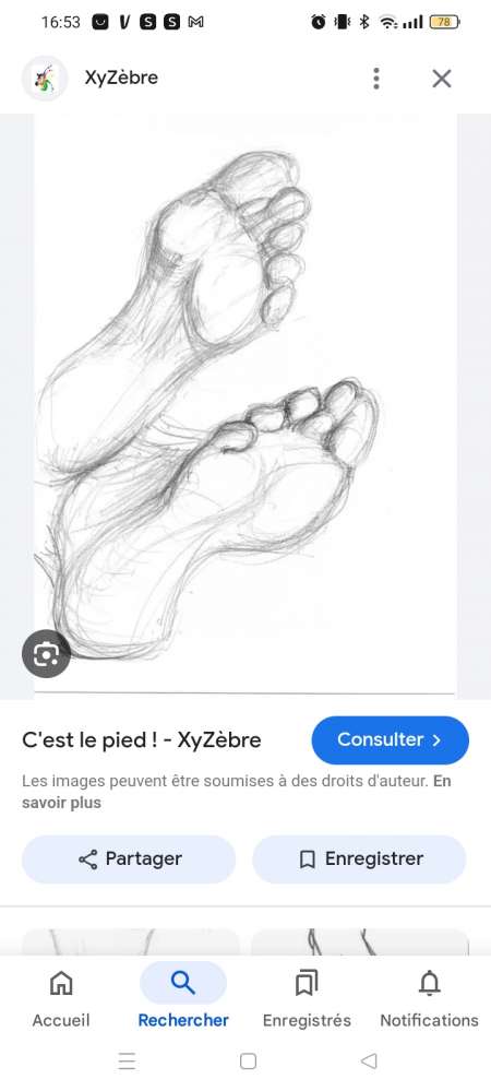 Pieds � disposition