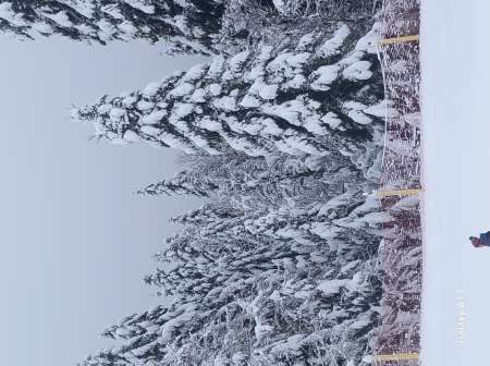 Homme re�oit femme couple avec homme bi