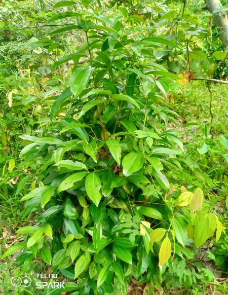 Relation s�rieuse uniquement