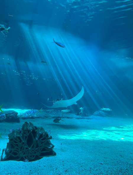 V�ritable massage avec Marius strasbourg