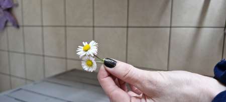 Jeune dominatrice cherche soumise