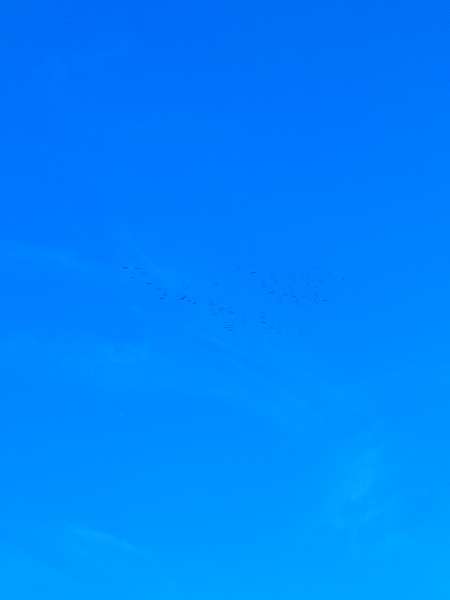 Passer un agr�able moment